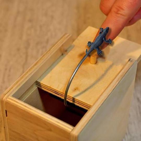 Schreckliche Kästen - Witziges Geschenk