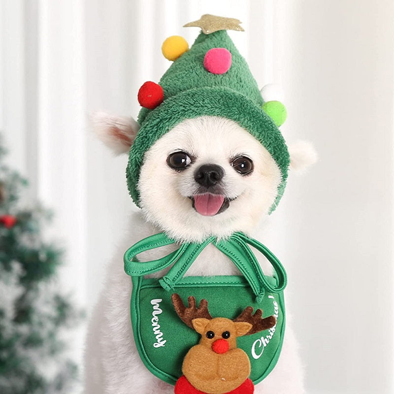 Weihnachtskleidung für Haustiere
