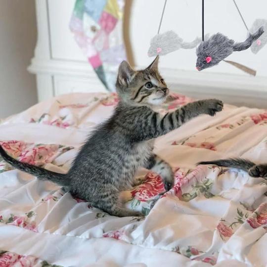 Hängendes lustiges Katzenspielzeug in Mausform