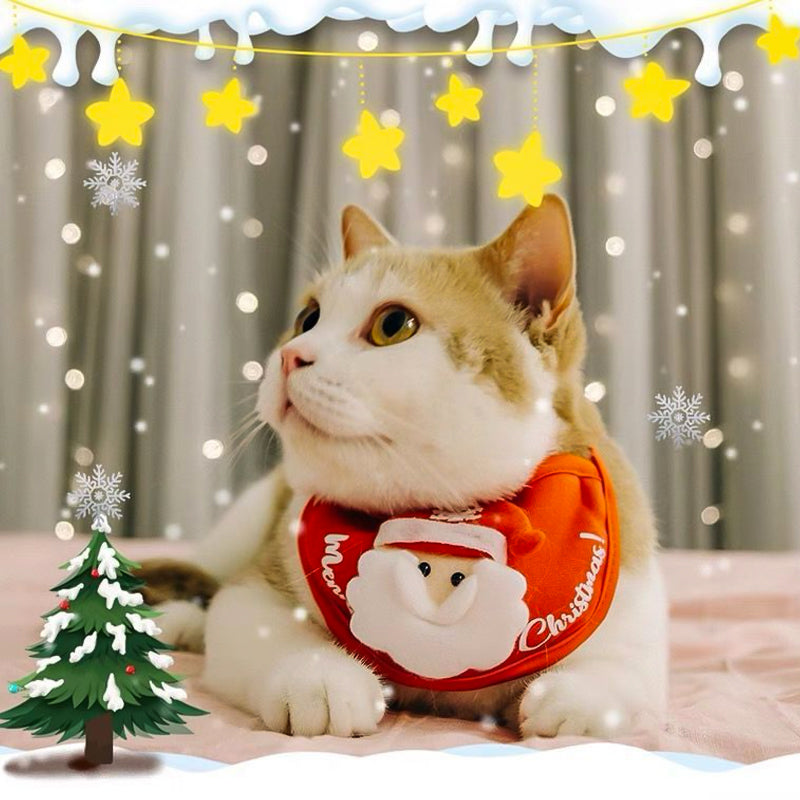 Weihnachtskleidung für Haustiere